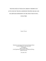 THE INFLUENCE OF THE KU80 CARBOXY-TERMINUS ON ACTIVATION OF THE DNA-DEPENDENT PROTEIN KINASE AND DNA REPAIR IS DEPENDENT ON THE STRUCTURE OF DNA COFACTORS Derek S.