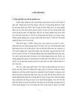 Phân tích tài chính tại công ty cổ phần TRAPHACO