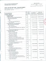 công ty cổ phần transimex saigon bảng cân đối kế toán báo cáo kết quả hoạt động kinh doanh báo cáo tài chính quý 3 năm 2013