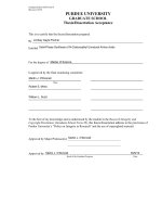 Solid-Phase Synthesis of N-Carboxyalkyl Unnatural Amino Acids