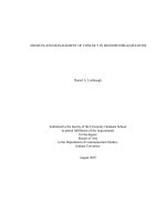 SOURCES AND MANAGEMENT OF CONFLICT IN BLENDED ORGANIZATIONS