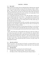 Quy hoạch môi trường chuyên đề: “ Quy hoạch môi trường cho phát tiển kinh tế xã hội Quận 4 thành phố Hồ Chí Minh