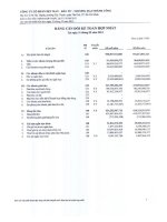 công ty cổ phần cổ phần dệt may đầu tư thương mại thành công bảng cân đối kế toán báo cáo kết quả hoạt động kinh doanh báo cáo tài chính hợp nhất quý 1 năm 2013