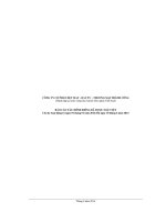 công ty cổ phần cổ phần dệt may đầu tư thương mại thành công báo cáo tài chính riêng đã được soát xét cho kỳ hoạt động từ 1 tháng 1 đến 30 tháng 6 năm 2014