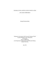THE ROLE OF DNA METHYLATION IN REGULATING LHX3 GENE EXPRESSION
