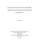 ELUCIDATING THE ROLE OF REDOX EFFECTS AND THE KU80 C-TERMINAL REGION IN THE REGULATION OF THE HUMAN DNA REPAIR PROTEIN KU