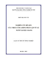 nghiên cứu hệ gen của virus cúm ah5n1 phân lập từ gà nuôi tại hậu giang