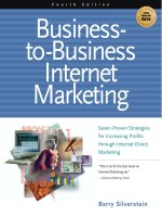 business to business internet marketing seven proven strategies for increasing profits through internet direct marketing