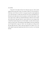 Phân tích tác động của đòn bẩy hoạt động, đòn bẩy tài chính và đòn bẩy tổng hợp đến lợi nhuận và rủi ro của doanh nghiệp