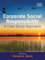 Corporate social responsibility a case study approach