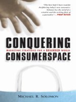 conquering consumer space marketing strategies for a branded world