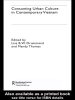 consuming urban culture in contemporary vietnam