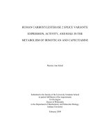 HUMAN CARBOXYLESTERASE 2 SPLICE VARIANTS: EXPRESSION, ACTIVITY, AND ROLE IN THE METABOLISM OF IRINOTECAN AND CAPECITABINE
