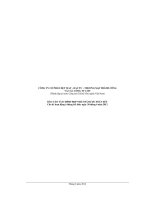 công ty cổ phần dệt may đầu tư thương mại thành công và các công ty con báo cáo tài chính hợp nhất đã được soát xét cho kỳ hoạt động 6 tháng kết thúc 30 tháng 6 năm 2012