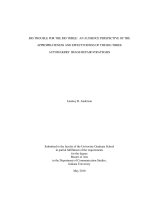 BIG TROUBLE FOR THE BIG THREE: AN AUDIENCE PERSPECTIVE OF THE APPROPRIATENESS AND EFFECTIVENESS OF THE BIG THREE AUTOMAKERS’ IMAGE REPAIR STRATEGIES