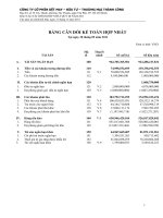 công ty cổ phần dệt may đầu tư thương mại thành công báo cáo tài chính hợp nhất quý 3 năm 2011