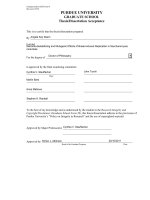 GENOME-DESTABILIZING AND MUTAGENIC EFFECTS OF BREAK-INDUCED REPLICATION IN SACCHAROMYCES CEREVISIAE