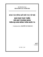 Giải pháp phát triển đội ngũ thương nhân trên địa bàn nông thôn nước ta