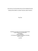 ADF/COFILIN ACTIVATION REGULATES ACTIN POLYMERIZATION AND TENSION DEVELOPMENT IN CANINE TRACHEAL SMOOTH MUSCLE