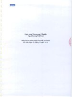 ngân hàng ngoại thương việt nam báo cáo tài chính hợp riêng  cho năm tài chính kết thúc 31 tháng 12 năm 2010
