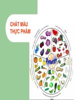 Chất màu trong thực phẩm