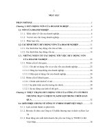 Giải pháp nâng cao hiệu quả huy động vốn tại công ty Cổ phần thương mại và dịch vụ Kim Lợi