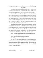 Thiết kế hệ thống điều khiển động cơ điện 1 chiều