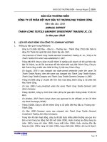 công ty cổ phần dệt may đầu tư thương mại thành công báo cáo thường niên 2010