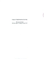 công ty cổ phần bourbon tây ninh báo cáo tài chính kết thúc 31 tháng 3 năm 2013