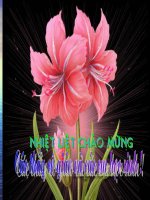 Bài giảng luyện tập rút gọn phân số lớp 5