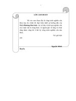 Giải pháp nhằm nâng cao chất lượng dịch vụ khách sạn tại Công ty TNHH thương mại và phát triển Thu Ngọc