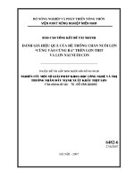 Đánh giá hiệu quả của hệ thống chăn nuôi lợn cùng vào, cùng ra trên lợn thịt và lợn nái nuôi con