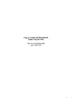 công ty cổ phần mía đường thành thành công tây ninh báo cáo tài chính hợp nhất quý 2 năm 2014