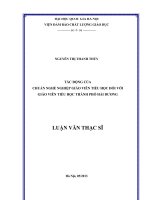 Luận văn thạc sĩ tác ĐỘNG của CHUẨN NGHỀ NGHIỆP GIÁO VIÊN TIỂU học đối với GIÁO VIÊN TIỂU học THÀNH PHỐ hải DƯƠNG