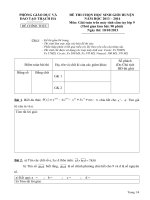 đề thi chon hsg huyện năm học 2013-2014