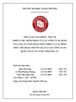 Chiến lược thâm nhập của các Công ty đa quốc gia vào các nước đang phát triển và các hình thức thủ đoạn “chuyển giá” của các Công ty đa quốc gia ở các nước nhận đầu tư