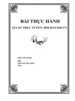 GIA sư TRỰC TUYẾN  HOCHAY24H VN   lập dự án KINH DOANH