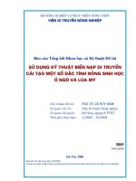 Sử dụng kỹ thuật biến nạp di truyền cải tạo một số đặc tính nông sinh học ở Ngô và Lúa Mì