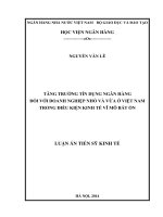 Luận án tiến sỹ kinh tế : Tăng trưởng tín dụng ngân hàng đối với doanh nghiệp nhỏ và vừa ở việt nam trong điều kiện kinh tế vĩ mô bất ổn