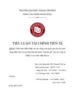 chiến lược thâm nhập của các công ty đa quốc gia vào các nước đang phát triển và các hình thức thủ đoạn “chuyển giá” của các công ty đqg ở các nước nhận đầu tư