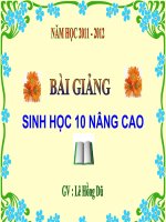 Bài giảng sinh học 10 nâng cao - Sinh trưởng của VSV