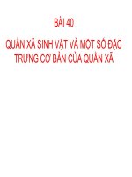 bài 40 quần xã sinh vật và một số đặc trưng cơ bản của quần xã
