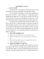 tóm tắt luận án tiên sĩ nghiên cứu đặc điểm lâm sàng và hiệu quả điều trị ung thư âm đạo