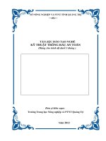 Tài liệu đào tạo nghề : Kỹ thuật trồng rau an toàn