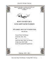 SKKN: BÀI TẬP VỀ KIM LOẠI