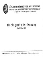 công ty cổ phần thủy điện vĩnh sơn sông hinh báo cáo quyết toán công ty mẹ quý 4 năm 2013