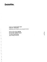 công ty cổ phần thủy điện vĩnh sơn sông hinh báo cáo tài chính đã được kiểm toán cho năm tài chính kết thúc 31 tháng 12 năm 2012