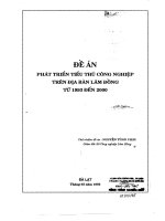 Phát triển tiểu thủ công nghiệp trên địa bàn Lâm Đồng từ năm 1993 đến 2000