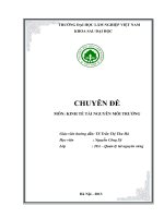 Báo cáo chuyên đề môn kinh tế tài nguyên