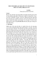 PHÂN TÍCH ĐỘNG LỰC HỌC KẾT CẤU TẤM PGS TS KS LÊ KIỀU